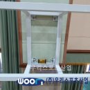 춘천조양초등학교 이미지