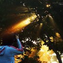 정경목장 이미지