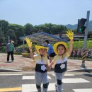 국원유치원 이미지