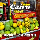 망고 | 카이로 기자피라미드 근처 과일가게 추천 farghaly 망고 구매 후기