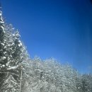 미니스톱 황금점 | [나고야] 시라카와고 &amp; 히다 다카야마 - 1일 버스 투어 후기, 겨울 여행지 추천