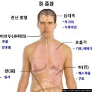 신종플루 예방법 종합 이미지