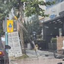 조현정신건강의학과의원 이미지