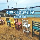 증도슬로시티 영농조합 | 신안 가볼 만한 곳 감성 카페 소금항카페 솔직 후기!