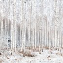 인제02-1 이미지