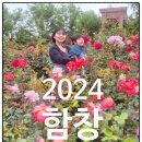 장미동산(좌) | 2024 상주시 함창 장미동산 슬라페&amp;한복축제(생생후기)