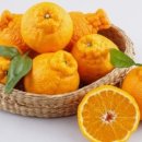 대지농장 이미지