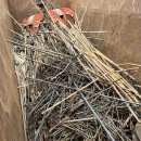 김유정로 L 이미지