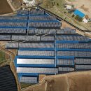 유성2태양광발전소 이미지