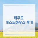 낯선하루 | 제주도 게스트하우스: (1mm 게하, 함덕친척집, 낯선하루, 산방댁) 후기 / 게하추천, 장단점