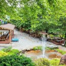 고둔치 솔가 이미지