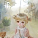 도로시(Dorothy) 이미지