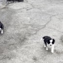 일명농장 이미지