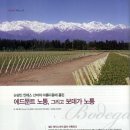 Re:샤또 라퐁 로쉐(Chateau Lafon-Rochet) &amp; 노통, 프리바다 (Norton, Privada) 이미지