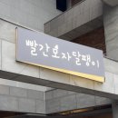 빨간모자 달팽이 이미지