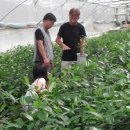 팔암농장 이미지