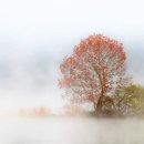 마음다짐 이미지