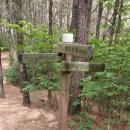 판암동160 이미지