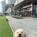 2024 케이펫페어 서울 코엑스 둘째날 후기 / 이벤트 / 구매제품