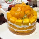 탑 | 서울 서초구 고속터미널맛집 시즈니크 신세계백화점 망고 탑케이크 1호 후기