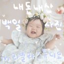 라플라워 | 라빌라스튜디오 | 백일촬영 후기📸💐 (빈티지 플라워 컨셉)