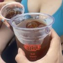 별비치하우스 | 양양 별게스트하우스&서핑클럽 후기 - 여름휴가 가성비 끝판왕이었다