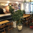 토프레소비전프라자점 이미지