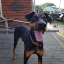 한상태농장 이미지