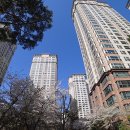 반포자이, 반포자이유치원 이미지