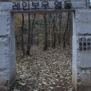 동해통닭식당 네이버블로그