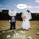 새소망뷔페 | 👰🏻W2. Wedding venue ..💒 @더 링크 호텔 𝐟𝐞𝐚𝐭. 리뉴얼 된 화이트홀 까지! 전체홀 후기/견적📸