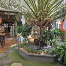 이원염소농장 이미지