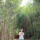 (주)상산골푸른숲 | 초등학생 아이와 서울숲 영풍문고 북캉스! 씨네숲 단편영화 상영회 &amp; 모두의서가 탐방