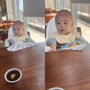 모세하우스 | 준비의 시작/하이체어 !내돈내산! 베이비하우스 구매 후기/야마토야 아펠소르베 하이체어 머스캣/색상...