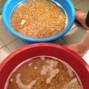 단일농장 이미지