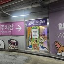 하이원리조트힐콘도T동놀이터 이미지