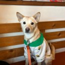 영동여관 이미지