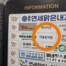 동탄 미올한의원 방문 침 치료 무릎 침 맞기