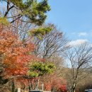 현대미술관 | 미뤄온 국립현대미술관 과천 후기