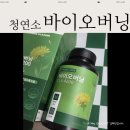 바이오환경 생활과학 입문 | 다이어트 보조제 청연소 바이오버닝 :: 뱃살 고민 현실적으로 줄인 후기