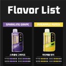 스카이 전자 이미지