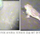 두꺼비PC 이미지