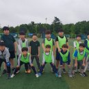 경주 참사람 태권도장 이미지