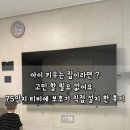 삼성광학 | [내돈내산 | 썬가드 광학 티비보호기] 아이 있는집 필수 ! 75인치 TV 보호기 내돈내산 직접 설치 후기