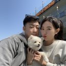 염치미남칼국수 | [영종도 강아지랑 당일치기 여행코스] ‘을왕리빵판다/한판떠조개구이’ 애견동반맛집