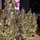 KCC 사옥 앞 횡단보도 | 🎄크리스마스 빌리지 부산 야간 팁｜웨이팅 없이 입장하는 시간대·주차장 추천