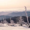 겨울 사랑 “Winter World Of Love” - 잉글버트 험퍼딩크(Engelbert Humperdinck) 이미지