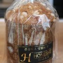 7479 | 제주 노형동 어니스크 내돈내산 제주공항근처 늦게까지 하는 숨은 빵맛집