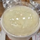 롯데리아용산점 | ​🍔 육즙 콸콸! 파이브가이즈 용산점 가족 먹방 후기