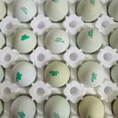 숲속청계농장 이미지